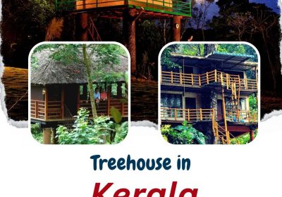 Elevated Haven: Discovering the Magical World of Kerala’s Tree houses