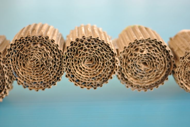 Buy Corrugated Paper Rolls Online from Avon Packaging