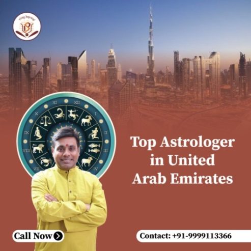 best astrologer in noida