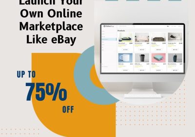 launch-your-own-online-marketplace-like-ebay