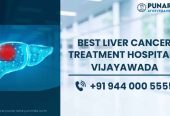 Best Liver Cancer Treatment Hospitals in Vijayawada | Punarjan Ayurveda