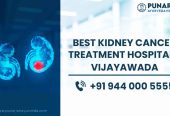 Best Kidney Cancer Treatment Hospitals in Vijayawada | Punarjan Ayurveda