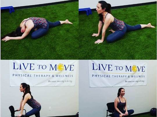 Live to Move Physical Therapy & Wellness