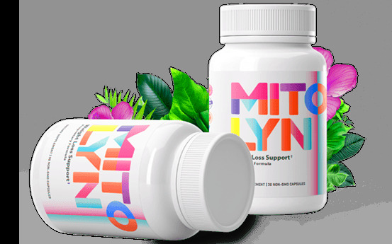 “Mitolyn for Weight Loss – Does It Live Up to the Hype in 2025?”