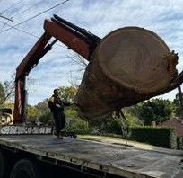 SydneySide Tree Services