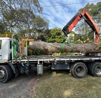 SydneySide Tree Services